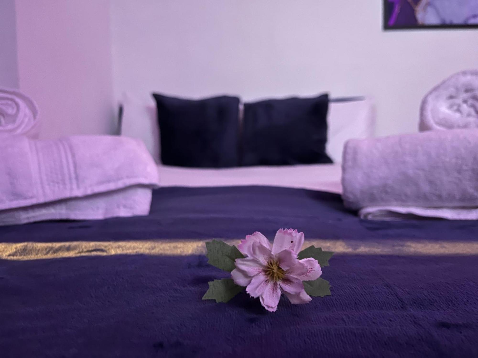 Apartment In Camden, Central Location Лондон Екстер'єр фото